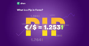 PIP | eFinanse - Kredyty i Ubezpieczenia