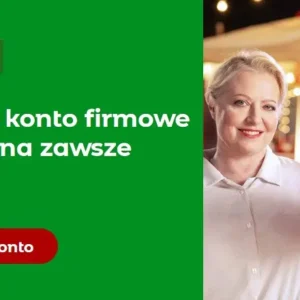 mBiznes konto Standard | eFinanse - Kredyty i Ubezpieczenia