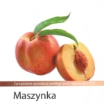 Maszynka do zarabiania - Richard Klapholz & Al | eFinanse - Kredyty i Ubezpieczenia