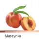Maszynka do zarabiania - Richard Klapholz & Al | eFinanse - Kredyty i Ubezpieczenia
